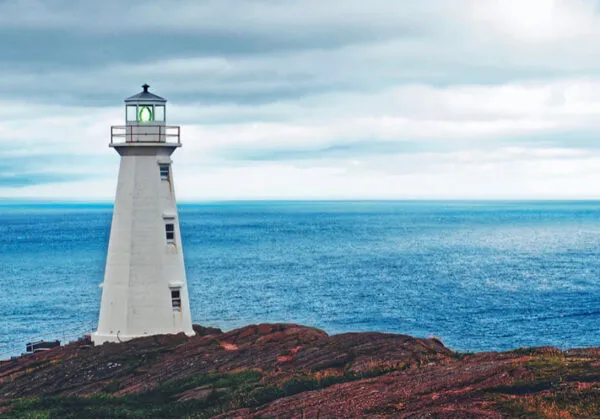 Trust o società semplice per gestire patrimonio familiare secondo lo Studio Gazzani