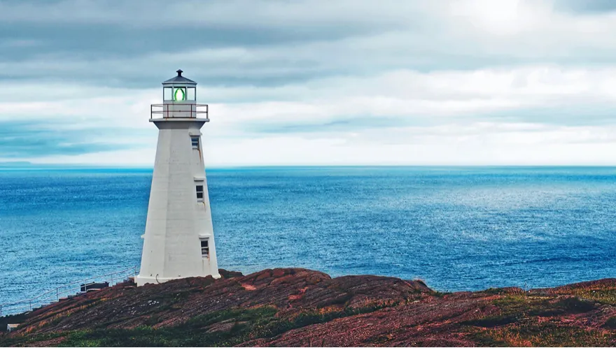 Trust o società semplice per gestire patrimonio familiare secondo lo Studio Gazzani