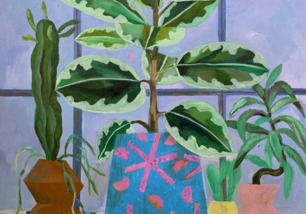 Lo Studio Gazzani inizia la stagione bilanci, e  ricorda che con il 31 dicembre 2023 ritorna l’obbligo di copertura delle perdite